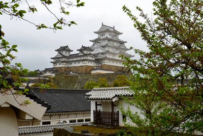 Himeji castle- Japan